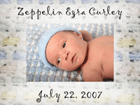 BabyDisc Photo Birth Announcement